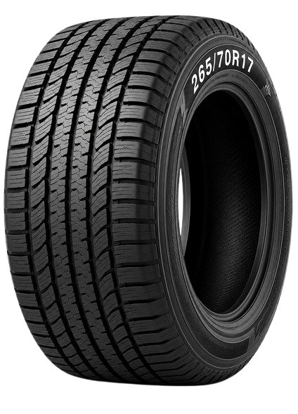 255/65R17 Tire