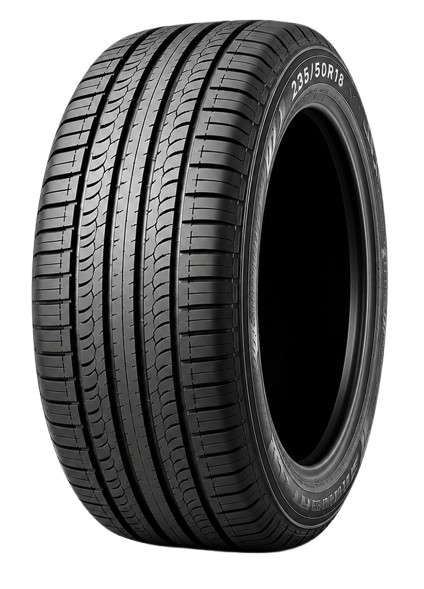 225/55R17 Tire
